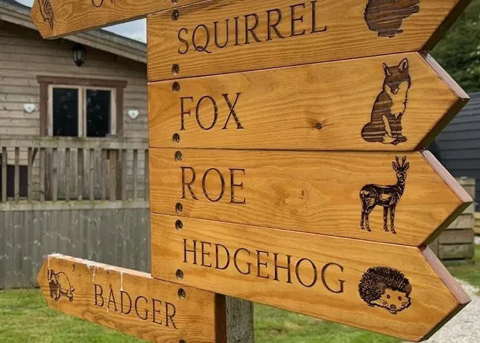Fox At Owlet Hideaway - With Hot Tub, Near Hébergement de vacances *